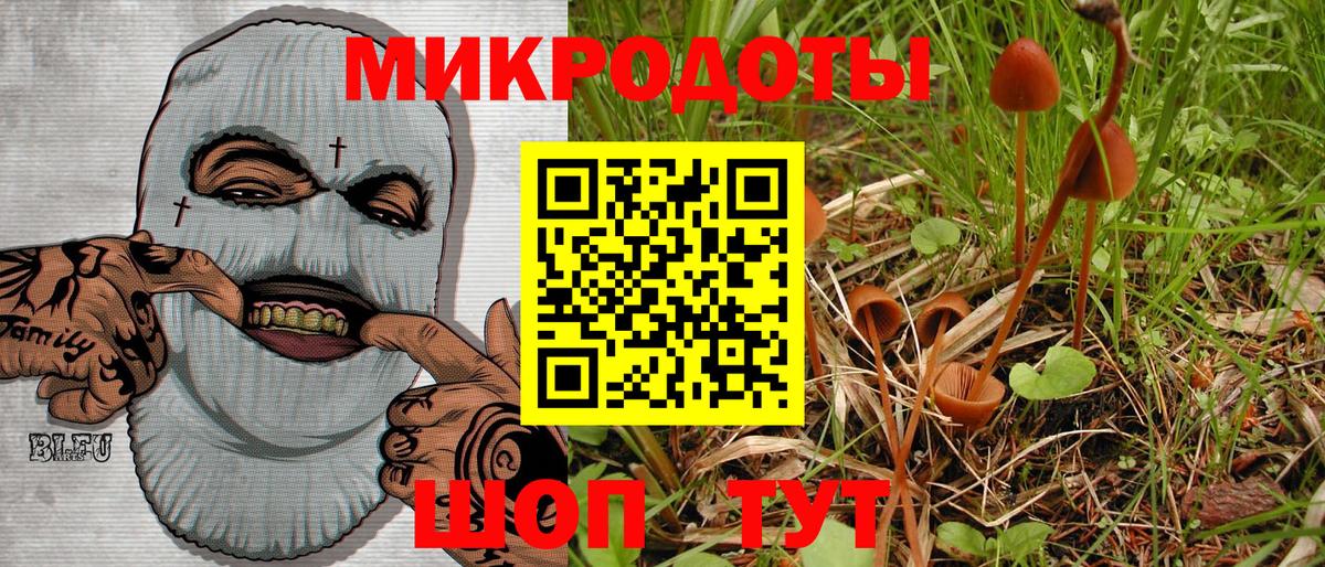 Псилоцибиновые грибы мицелий  Вход с VPN  Псилоцибиновые грибы Psilocybe  Егорьевск 
